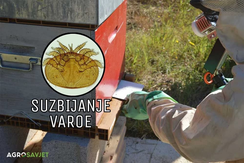 suzbijanje varoe