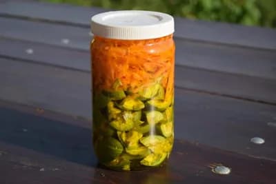 Kako napraviti ulje od mrkve za sunčanje