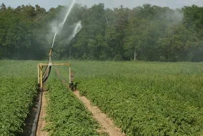Šta bi trebalo znati o navodnjavanju prije odluke o odabiru sistema