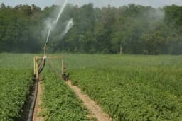 Šta bi trebalo znati o navodnjavanju prije odluke o odabiru sistema
