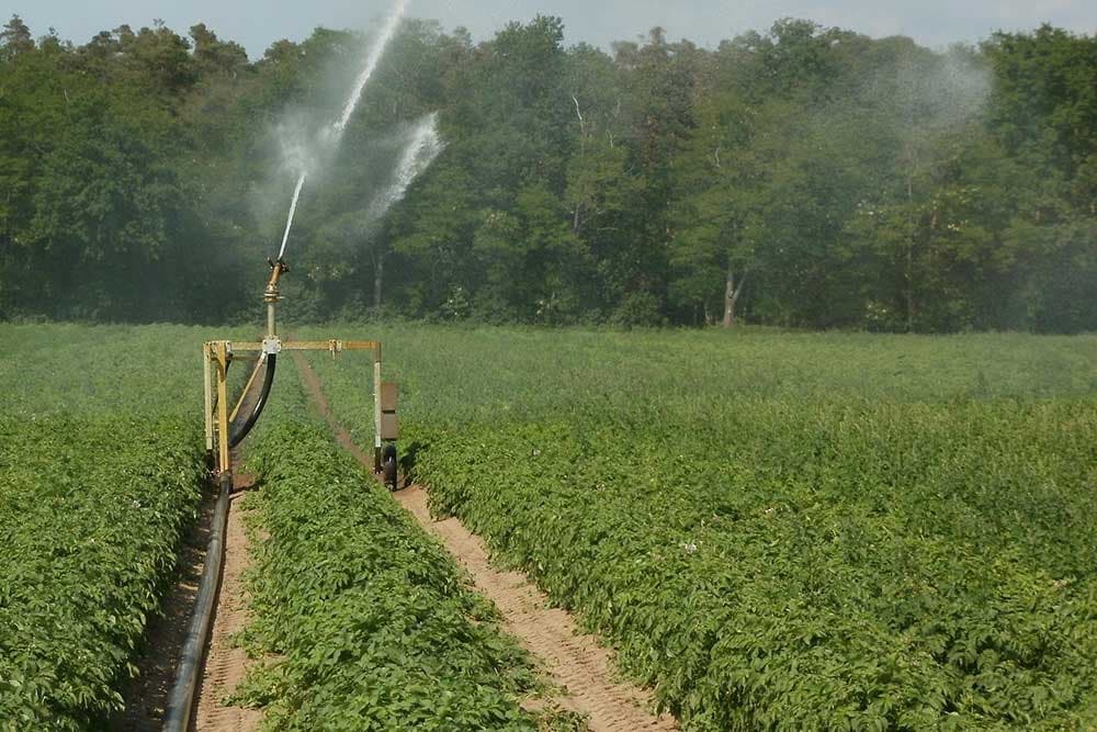 navodnjavanja krompira