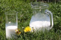 Pokvareno mlijeko - odlična prihrana i zaštita biljaka
