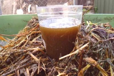 BIOPESTICIDI - Prirodni preparati za zaštitu biljaka od bolesti i štetočina