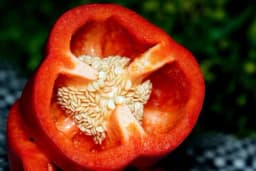 Čuvanje i prikupljanje sjemena sopstvenog povrća