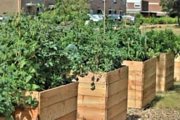 Šta su TOPLE LEJE i kako se prave?