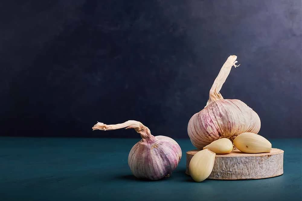 korišćenje bijelog luka