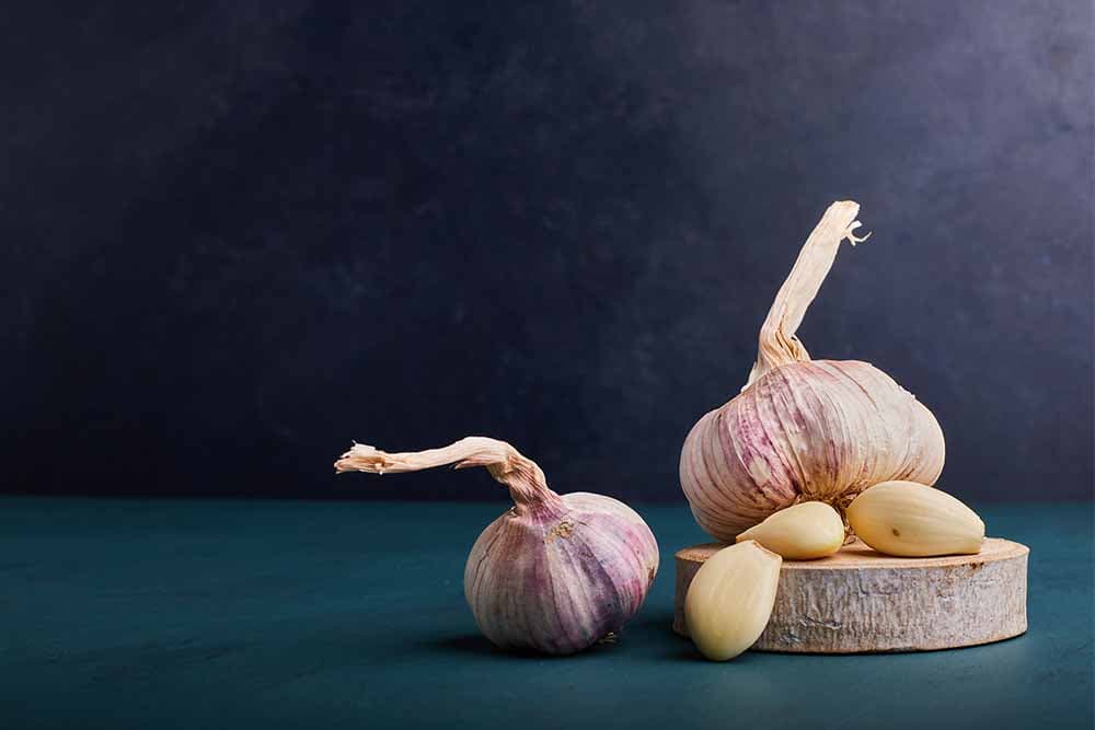 korišćenje bijelog luka