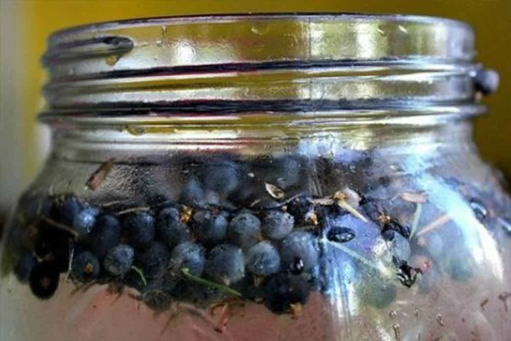 sok od smrekinih bobica