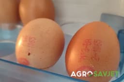 Šta znače brojevi i slova na jajima i koja su najkvalitetnija?