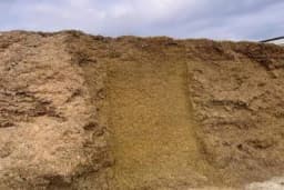 Kiseline koje čuvaju kvalitet silaže