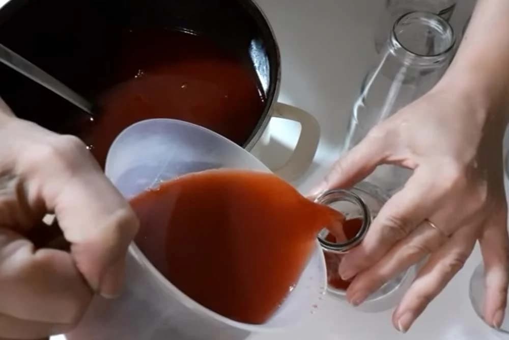 domaći sok od šljive