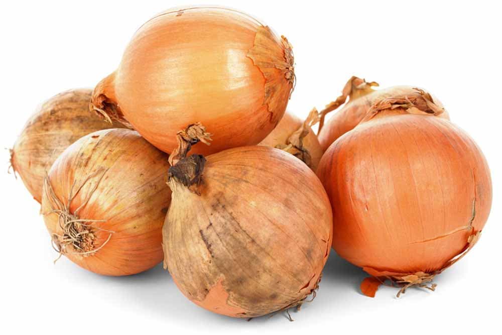 Čađavost kože luka