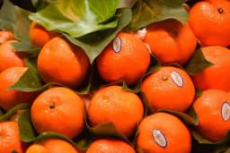 Namirnica koja pomaže u borbi sa lošim holesterolom