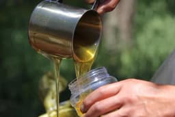 Gdje i kako se pravilno čuva med!