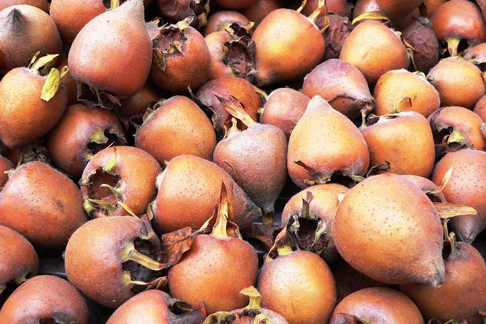 mušmula bez sjemena