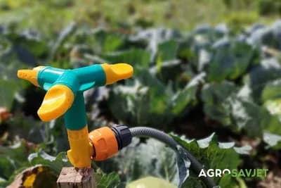 Čišćenje sistema za navodnjavanje