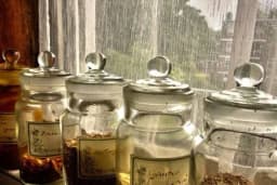 Otkrivamo metode čuvanja bilja tokom zime - Evo šta je potrebno da uradite