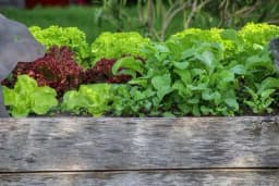 Visoke leje – Kako ih formirati da traju i do 6 godina?