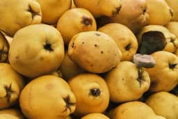 Čaj od sjemenki dunje