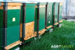 Kako utopliti pčele pred zimu