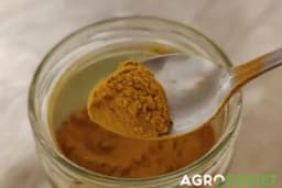 U koja jela se stavlja KURKUMA i koja je preporučena dnevna doza?