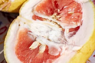 Prirodni antibiotici - Ovih devet su najučinkovitiji