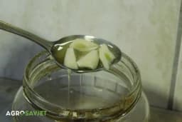 Spojite ove dvije namirnice i dobićete najmoćniji prirodni "lijek" protiv prehlade i virusa