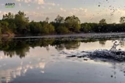 Zimski ribolov - Dolazak hladnog vremena ne znači kraj sezone?