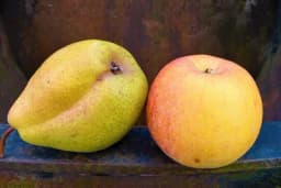 Pulpa od jabuka i krušaka