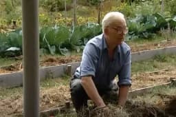 20 GODINA NIJE KOPAO, ZALIVAO NI ĐUBRIO BAŠTU, A OPET IZVADI I DO 2 TONE KROMPIRA: Cijeli svijet mu se divi zbog ovog IZUMA