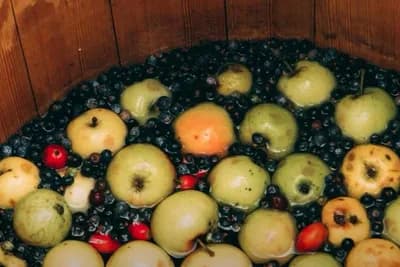 Od divljih voćki napravili biznis iz snova