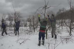 Oni su najtraženiji majstori preko zime: Bukirani sve do aprila