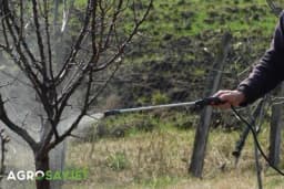 Proljetni tretmani voća pesticidima i njihova primjena