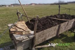 Skriveni potencijal vašeg stajnjaka - kako da ga iskoristite za najbolje rezultate u vašoj bašti?