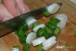 Sezona je mladog luka: Saznajte kakve sve koristi ima po zdravlje