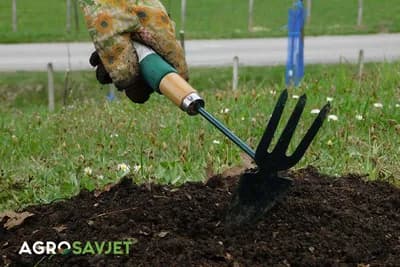 Rezultati istraživanja: Rad u vrtu smanjuje nivo stresa i sagorijeva kalorije