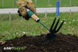 Rezultati istraživanja: Rad u vrtu smanjuje nivo stresa i sagorijeva kalorije