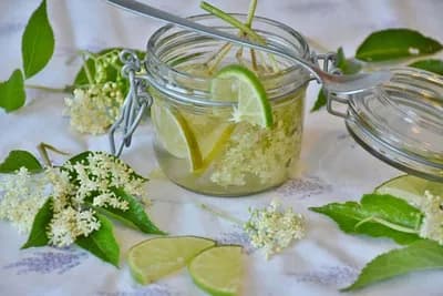 Recept koji će vas oduševiti - Sirup od bazge obogaćen koprivom