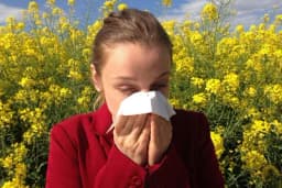 Alergija na polen će sada biti malo lakša: Stručnjak otkriva trik za ublažavanje simptoma