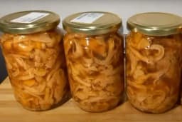 NAJBOLJI RECEPT ZA MARINIRANE LISIČARKE - Spremne kad god vam treba brzinsko jelo