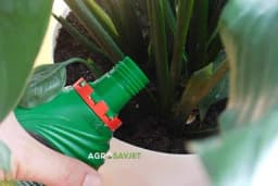 Recept za prihranu sobnih biljaka: Cvjetaće bolje nego ikad