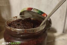 Kako da se u otvorenoj tegli nikada ne stvori buđ