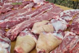 Razlike u izgledu mesa zdravih i bolesnih životinja