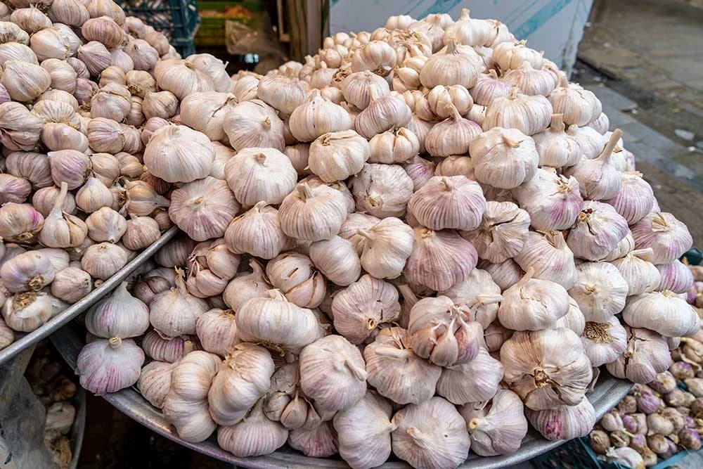 bijeli luk