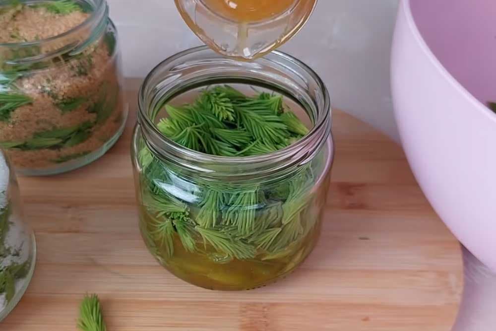 sirup od borovih iglica