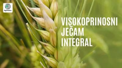 integral ječam