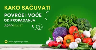 Kako sačuvati voće i povrće od propadanja