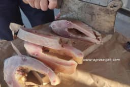 Kako pravilno pripremiti ribu?