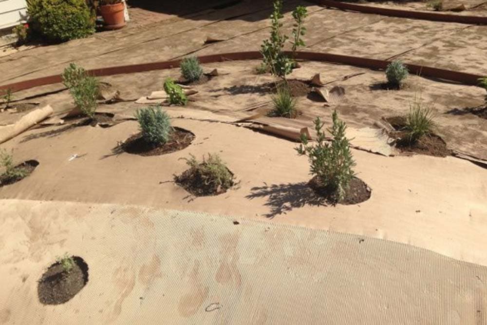 malčiranje sa kartonom i novinama