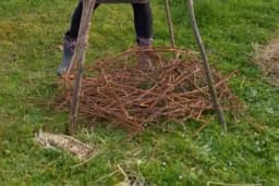 NAJBOLJI NAČIN DA ISKORISTITE GRANJE OD OREZIVANJA LOZE ILI DRVEĆA - Nema paljenja ili sjeckanja, SASVIM PRIRODNO rješenje